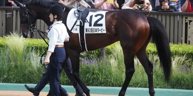 【七夕賞2026】カラマティアノスは舞台替わりが追い風も、58キロと夏競馬に不安材料