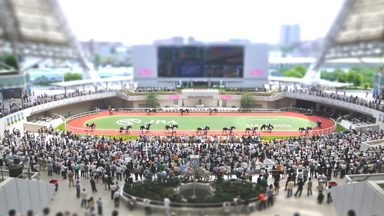 【セントウルS予想2026】芝替わりのママコチャや快速ピューロマジックに香港馬!実績馬の強みと課題を分析