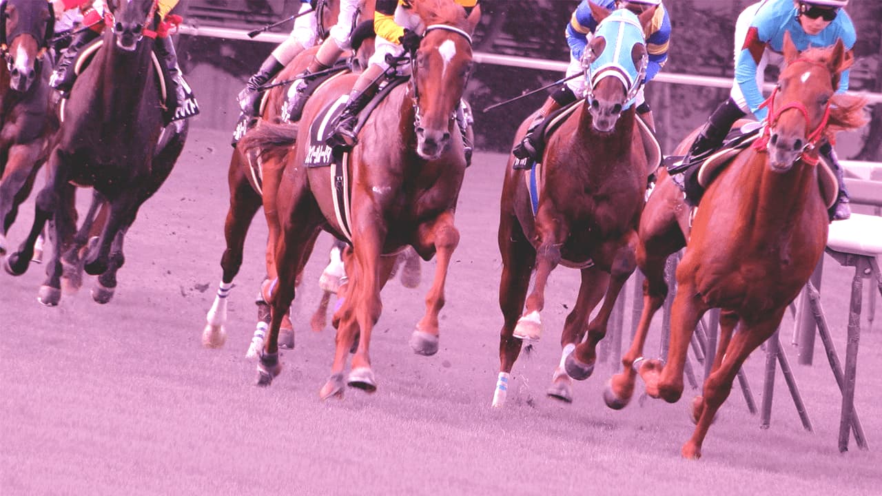 【新潟記念2026予想】GⅠ馬5頭が集結!注目はロデオドライブVS古馬勢の世代対決