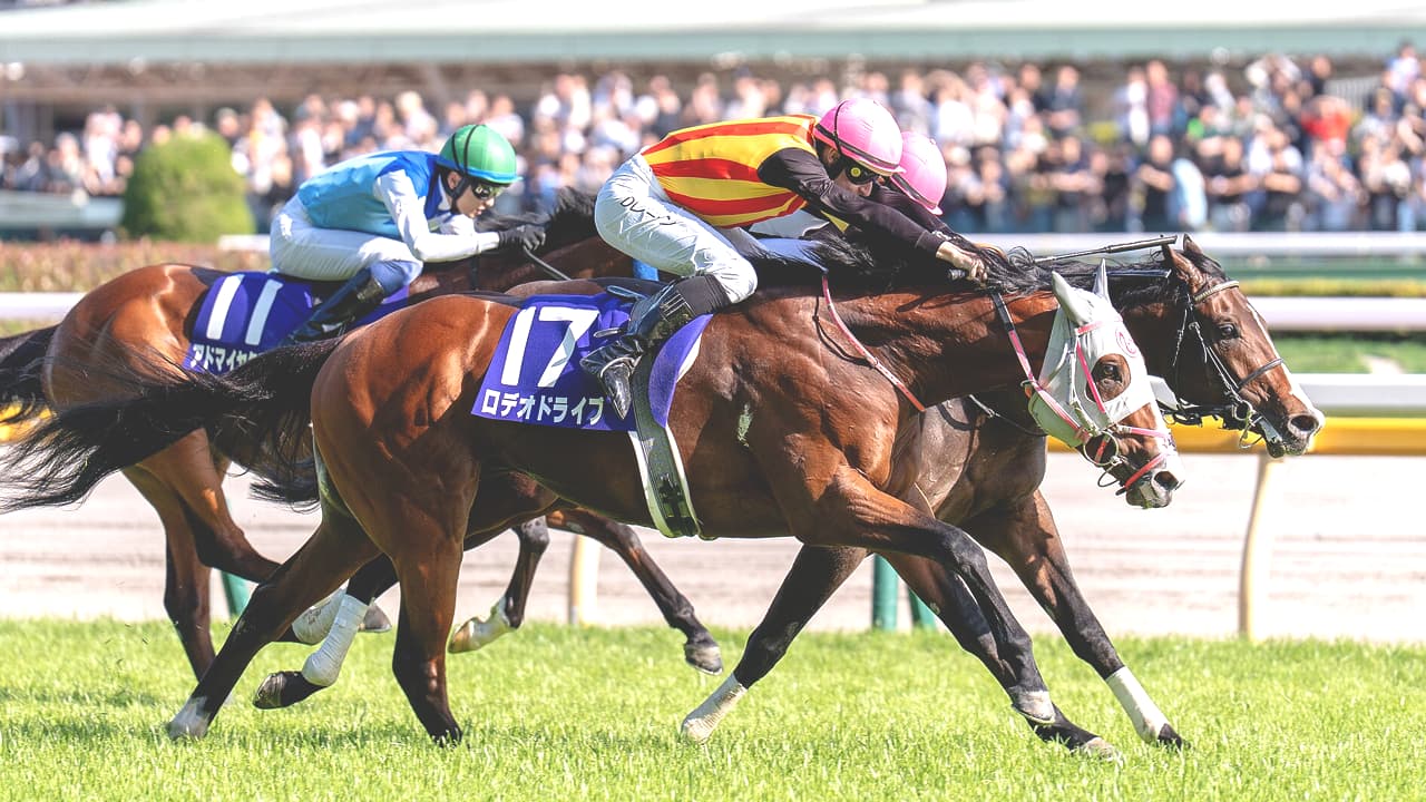 【新潟記念2026予想】ロデオドライブにとって未知の条件がズラリ、2000mと古馬戦が最大の焦点